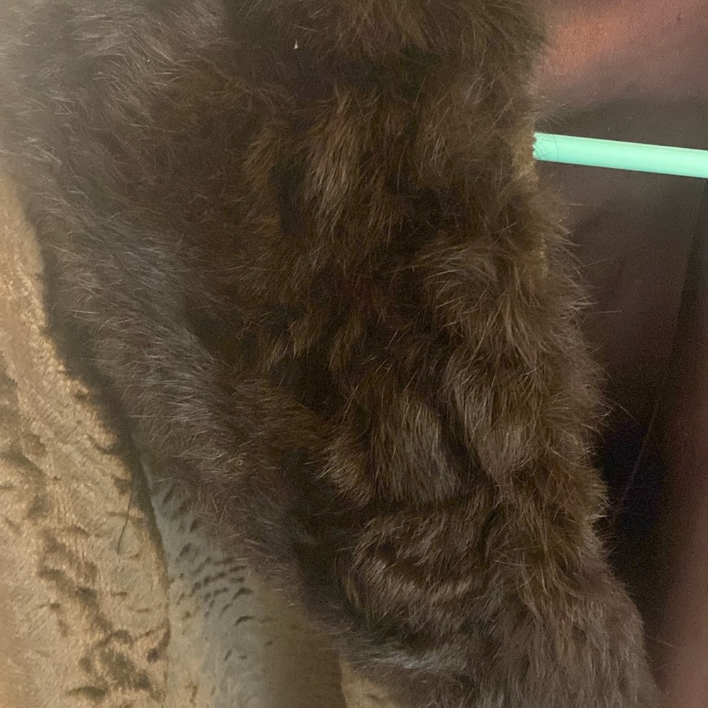 VINTAGE PERSIAN WOOL WITH MINK COLLAR